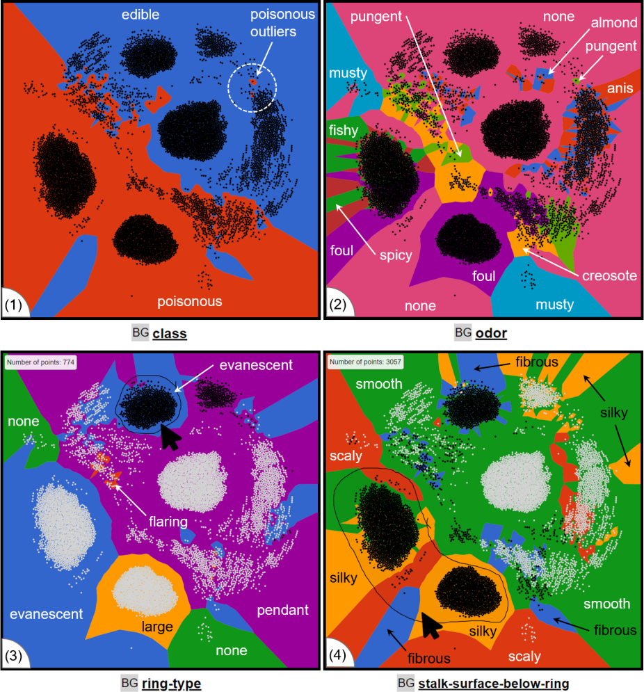 Analyzing Categorical Data with the Categorical Data Map